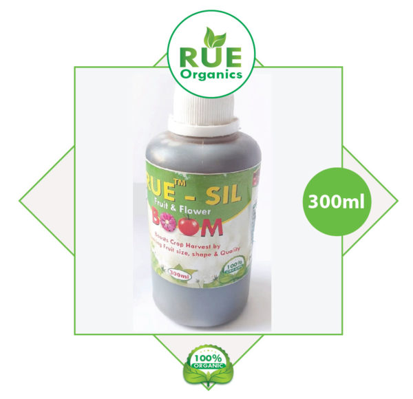 Rue Sil 300ml