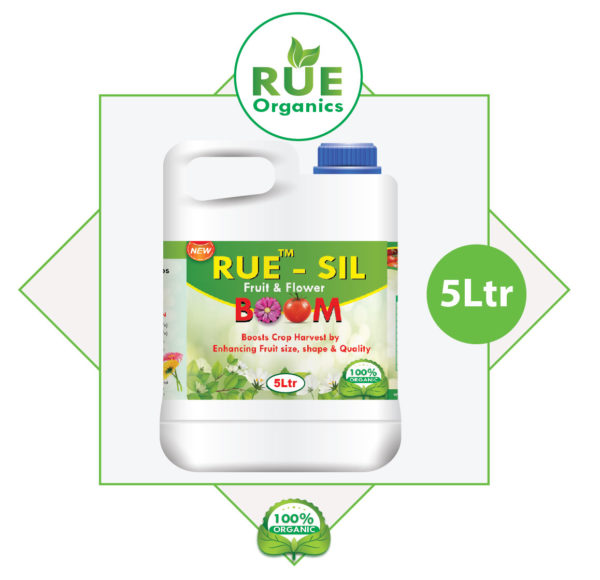 Rue Sil 5l
