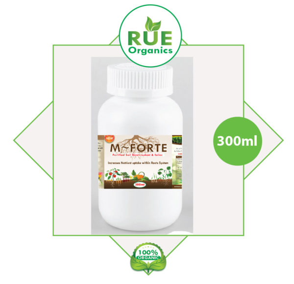 M~FORTE 300ml