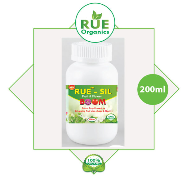 Rue Sil 200ml